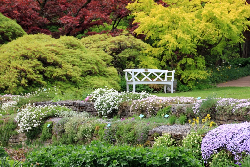 paysagiste-ROQUEBRUNE SUR ARGENS-min_landscape-tree-grass-plant-lawn-flower-1118629-pxhere.com