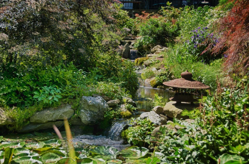 paysagiste-ROQUEBRUNE SUR ARGENS-min_pond-waterfall